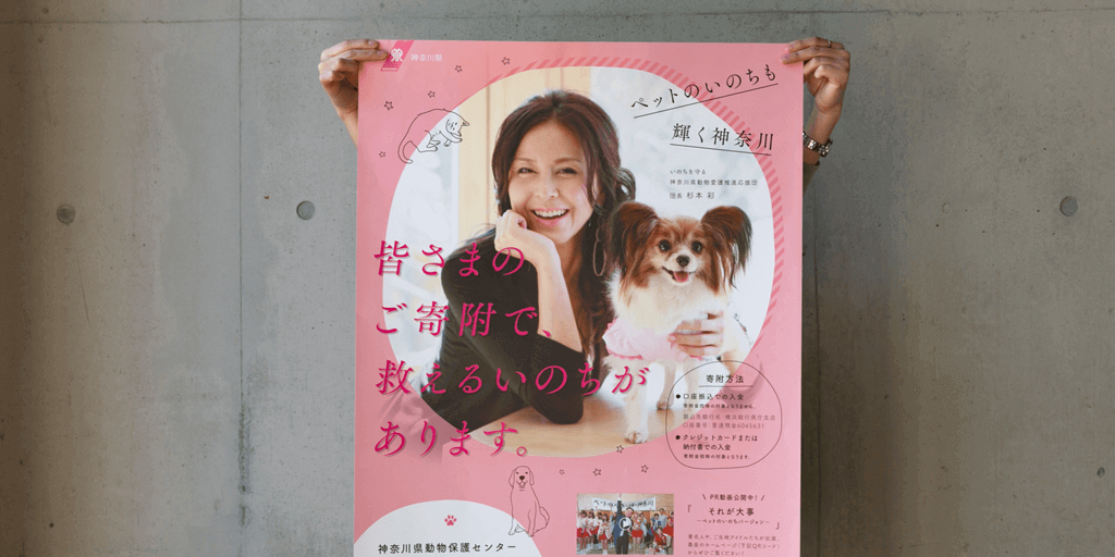 神奈川県 グラフィックデザイン制作事例